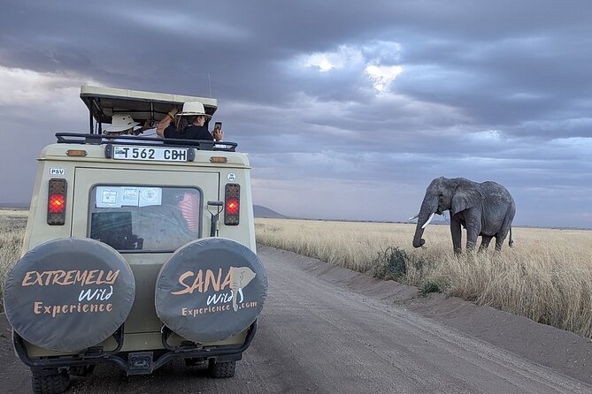 Private Multi Day Tour Tanzania Safari - Day 1: Tarangire’s elephants and umbrella acacias