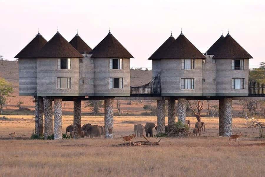 PRIVATE OVERNIGHT SALTLICK SAFARI FROM MOMBASA OR DIANI - Key points at a glance