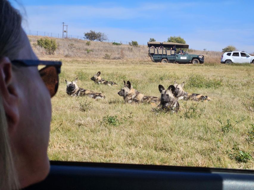 Private Rhino and Lion Park, Cradle Caves or Maropeng Museum - FAQ