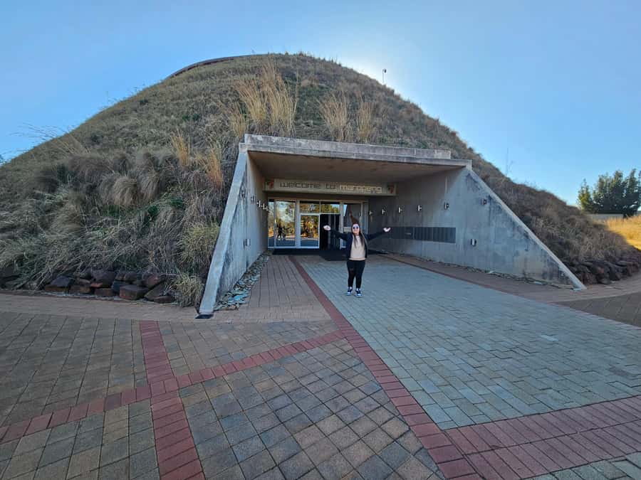 Private Rhino and Lion Park, Cradle Caves or Maropeng Museum - Lions, cheetahs, and African wild dogs