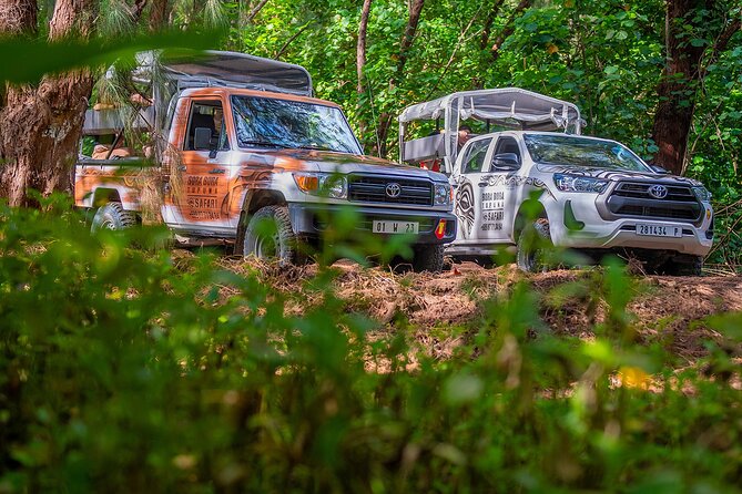 Private Safari Adventure Tour in Bora Bora with Local Guide - Who will get the most from this tour