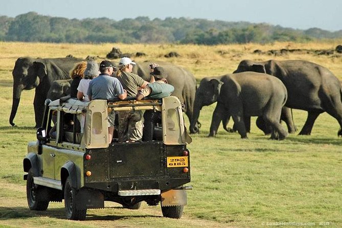 Private Trip to Sigiriya, Dambulla & safari from Colombo/ Negombo - Private transport, comfort, and the long road home