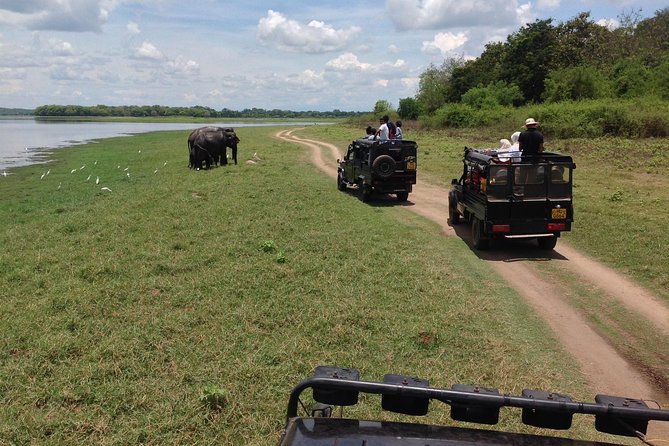 Private Trip to Sigiriya, Dambulla & safari from Colombo/ Negombo - Who should book this experience