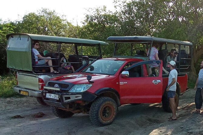 Private Wilpatu National Park Leopard safari from Colombo/Negambo - The early pickup and long road from Colombo or Negombo