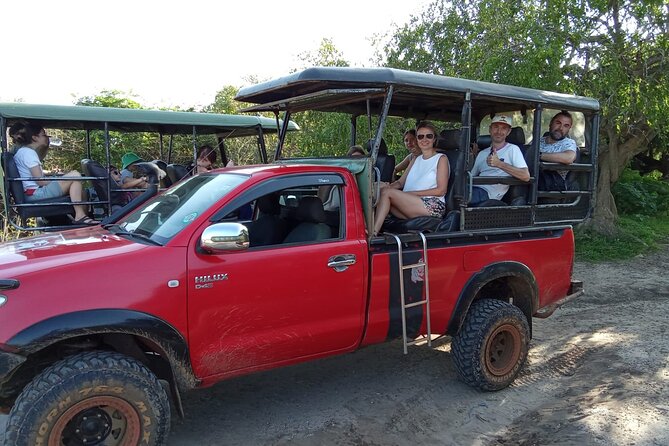 Private Wilpatu National Park Leopard safari from Colombo/Negambo - Four to five hours inside Wilpattu National Park