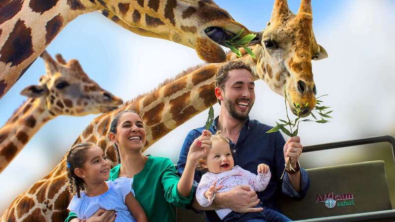 Puebla Africam Safari Park, Live an Unforgettable Adventure! - Meeting the bus at Puebla’s Zócalo