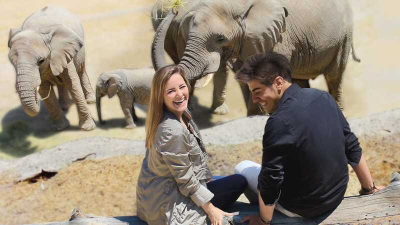 Puebla Africam Safari Park, Live an Unforgettable Adventure! - The first stops and the pace of the route