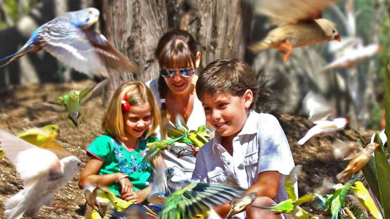Puebla Africam Safari Park, Live an Unforgettable Adventure! - Why driving yourself may be better for some people