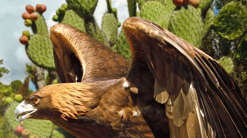 Puebla Africam Safari Park, Live an Unforgettable Adventure! - Is $43 a fair price?