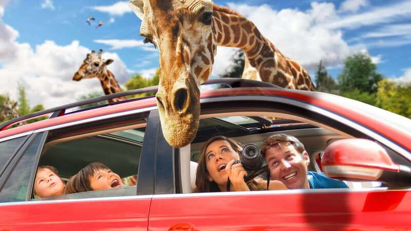 Puebla Africam Safari Park, Live an Unforgettable Adventure! - Who will enjoy Africam Safari most