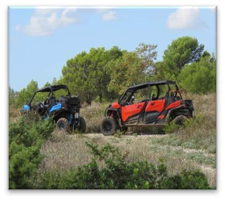 PULA AND ROVINJ: BUGGY FAMILY SAFARI 1, 2, 2.5 & 4 H - Choosing between Rovinj and Barban