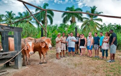 Bavaro Runners Safari Tour