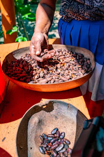 Punta Cana: Bavaro Runners Safari Tour - Lunch at Dona Maria’s home