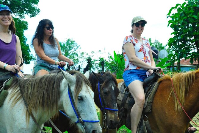 Punta Cana Half-Day Cultural Safari with Lunch and Drinks - Transport, timing, and what a six-hour tour really means