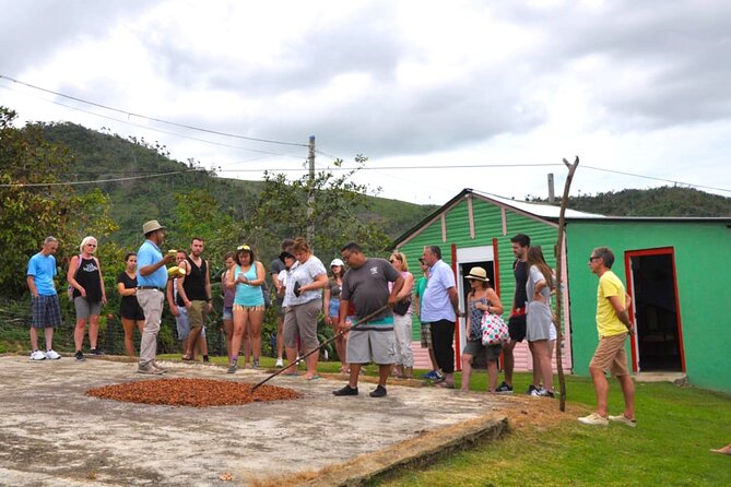 Punta Cana Half-Day Cultural Safari with Lunch and Drinks - Higüey Basilica and the city’s daily rhythm