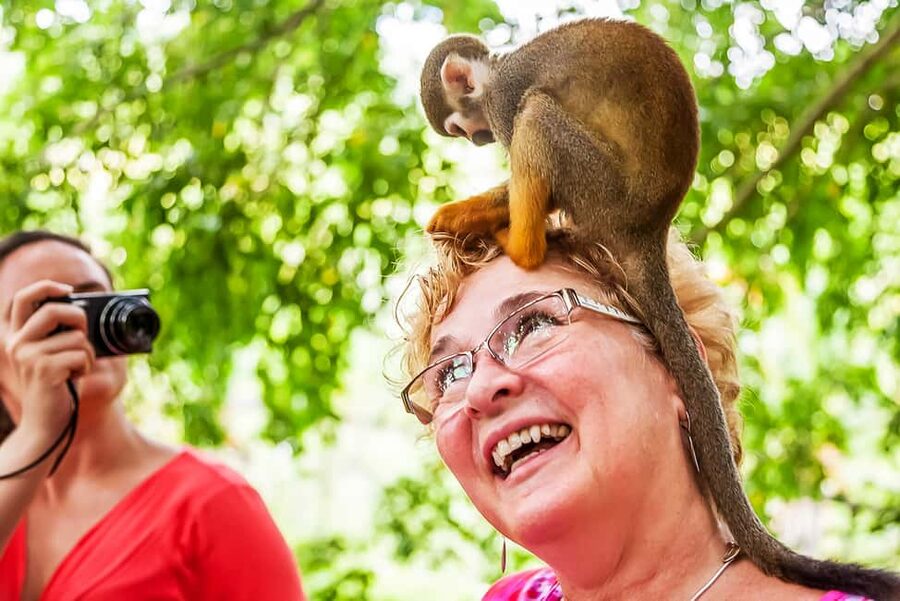Punta Cana: Monkey Land Half-Day Safari and Plantation - The five-hour plan from resort pickup to drop-off