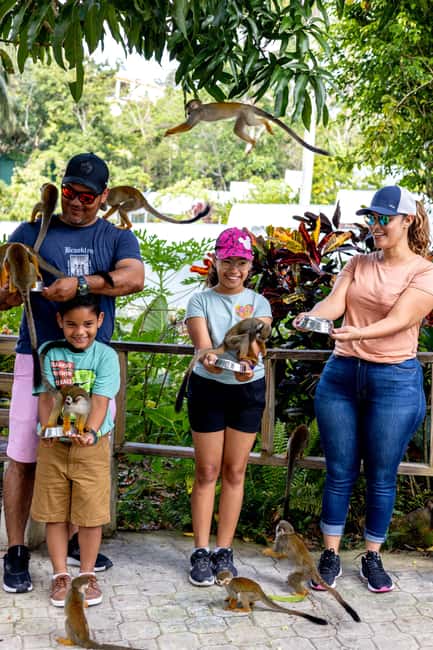 Punta Cana: Monkey Land Half-Day Safari and Plantation - Languages, timing, and useful preparation