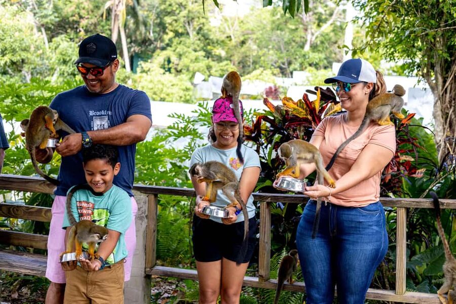 Punta Cana: Monkey Land Half-Day Safari and Plantation - Casa del Coco and the taste of Dominican production
