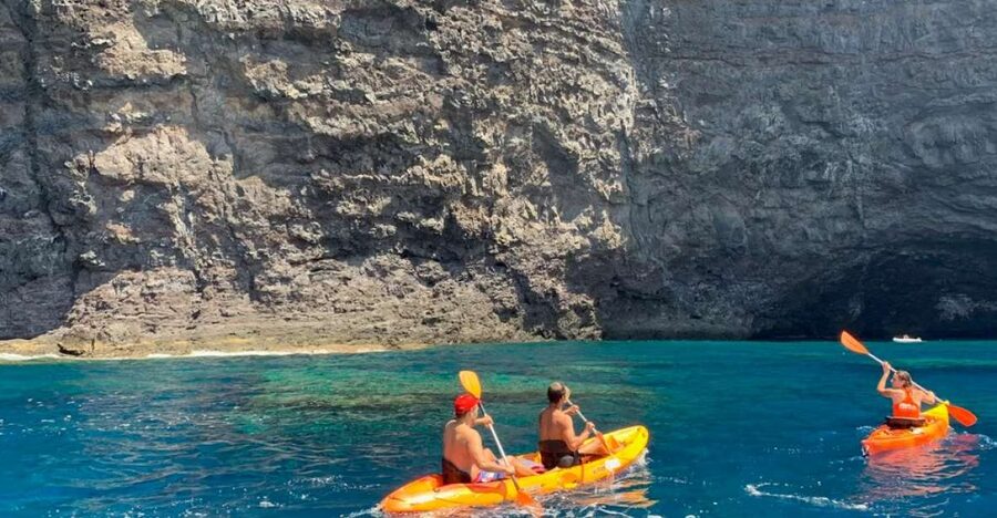 Punta de Teno: Kayak Safari overlooking Los Gigantes Cliffs - Key points to know before booking
