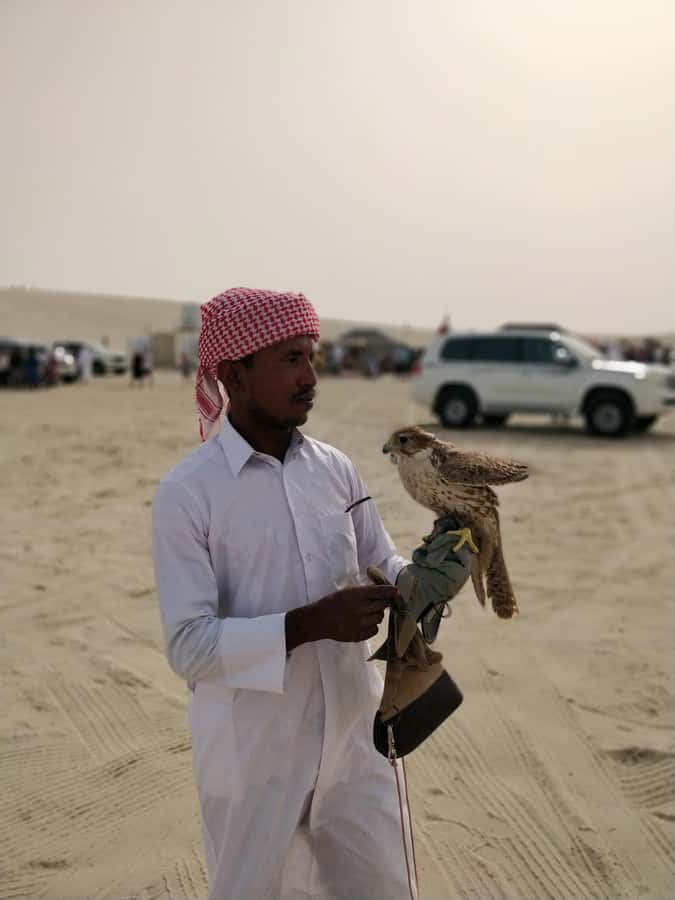 Qatar: Desert Safari, Camel Ride, Inland sea, Sandboarding - Optional quad biking: extra speed and extra responsibility