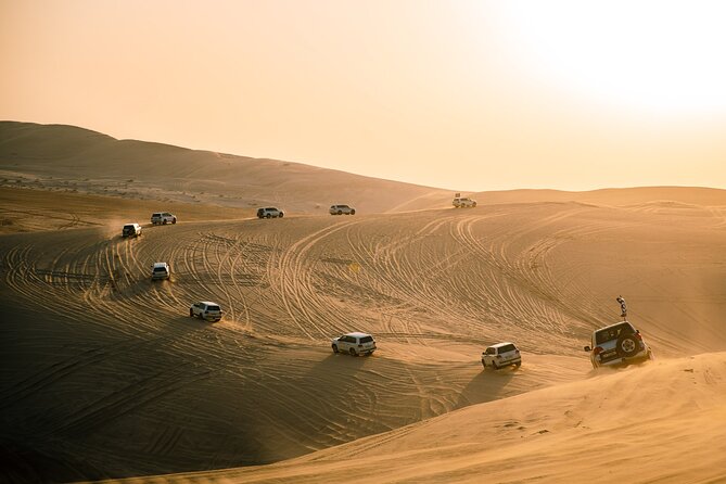 Qatar Desert Safari, Dune Bashing (Private Safari Tour) - What the $90 price really covers