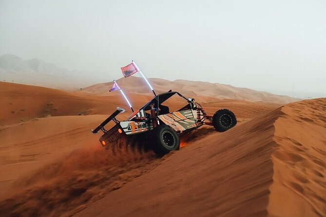 Qatar Desert Thrills Self Ride Dune Buggy Safari and Camel Ride - The camel ride is short but adds context