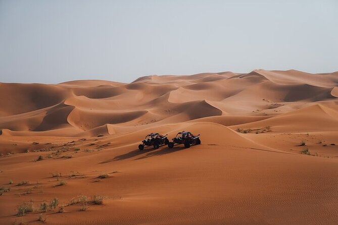 Qatar Desert Thrills Self Ride Dune Buggy Safari and Camel Ride - What the $199 price means