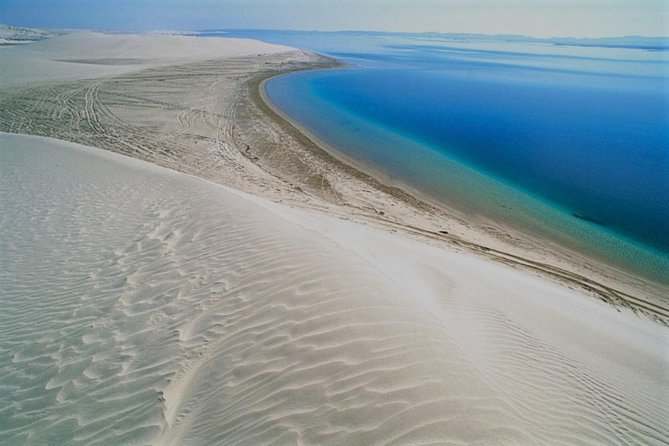 Qatar Gold Dune Safari, Dune Bashing,Camel Ride,Sand Boarding,Inland Sea Desert - The camel camp: a quick taste, not a trek