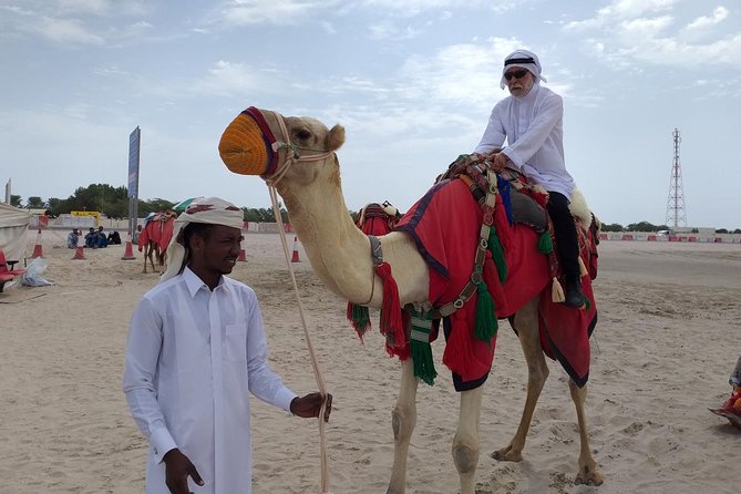 Qatar Gold Dune Safari, Dune Bashing,Camel Ride,Sand Boarding,Inland Sea Desert - Tea, water, and a pause in the desert