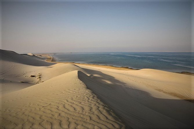Qatar Gold Dune Safari, Dune Bashing,Camel Ride,Sand Boarding,Inland Sea Desert - How much value do you get for $44.59?