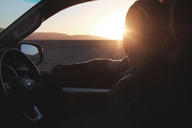 Qatar Sunset Desert Safari: Dune Bashing & Golden Sands Adventure - Who will enjoy this safari most