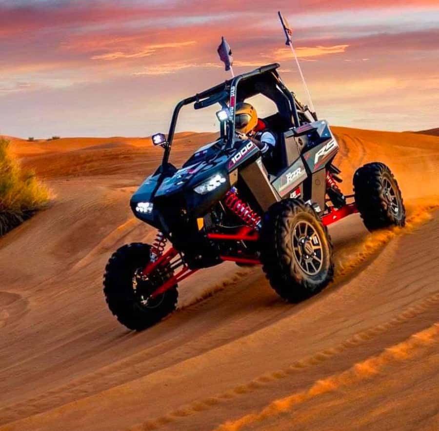 Quad Bike/Buggy, Desert Safari, Camel Ride, Dune Bashing - Who should book this desert safari