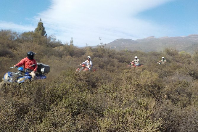 Quad Bike Safari - Is the $259 price good value?
