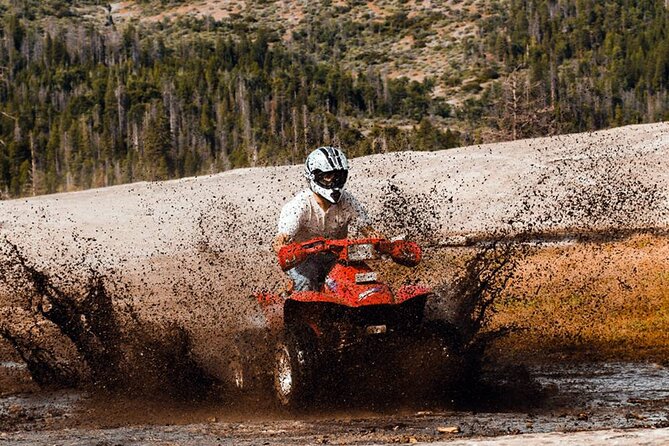 Quad Safari Experience in Alanya (Adventure Tour) w/ Free Hotel Transfer - Is $35 a fair price?