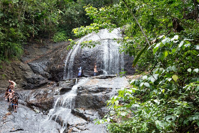 Rainforest Hike and Waterfall Safari - Key things to know before you go