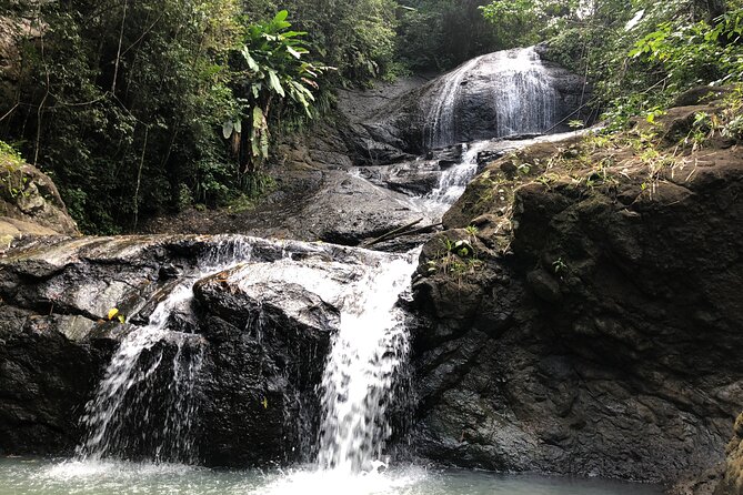 Rainforest Hike and Waterfall Safari - Why the waterfall is worth the ride