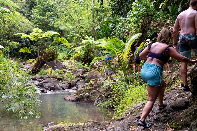 Rainforest Hike and Waterfall Safari - Fruit plantations and the rural side of Saint Lucia