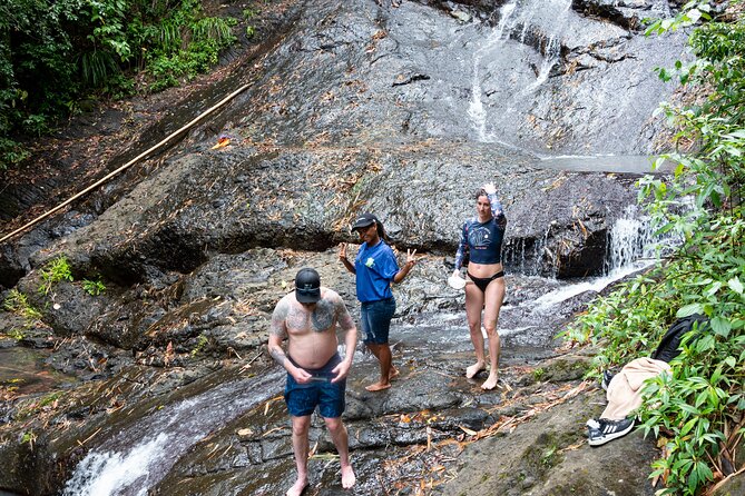 Rainforest Hike and Waterfall Safari - The rainforest walk to the pools