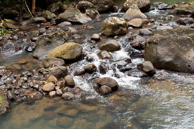 Rainforest Hike and Waterfall Safari - Anse La Raye and the extra island stops