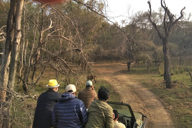 Ranthambore National Park - What the $34.96 price covers