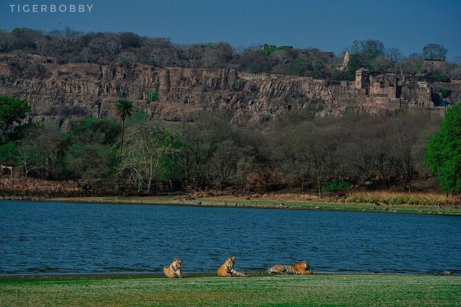 Ranthambore National Park - Who will enjoy this safari most