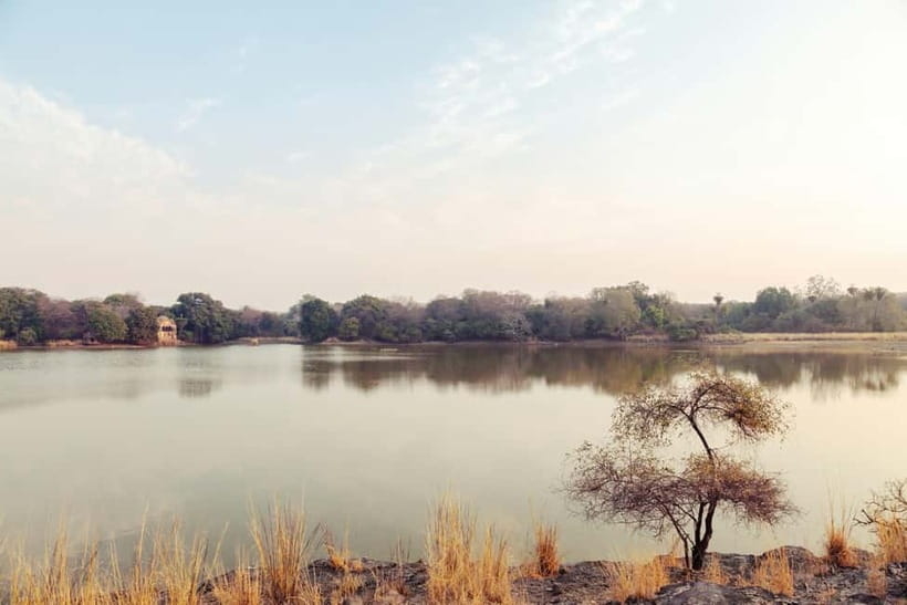 Ranthambore National Park: Safari Ticket with Pickup Option - What happens during the 3.5-hour park visit