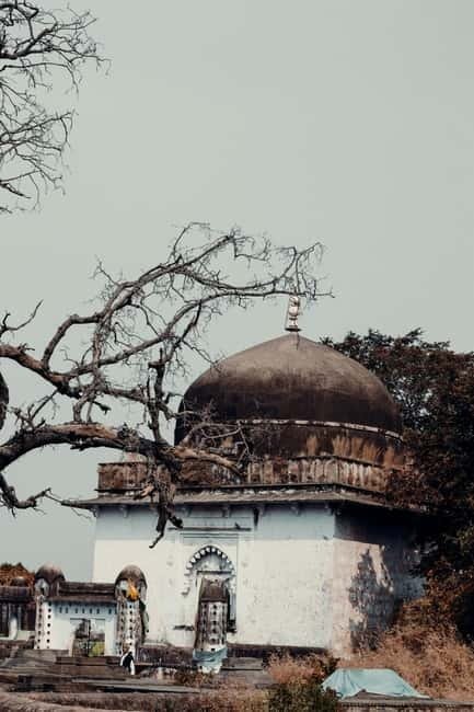 Ranthambore National Park: Safari Ticket with Pickup Option - Tigers, birds, and the value of a realistic outlook