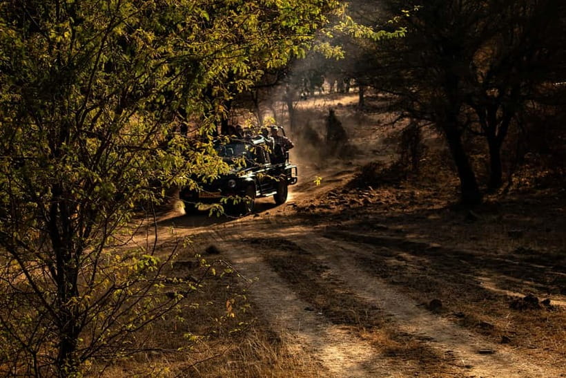 Ranthambore National Park: Safari Ticket with Pickup Option - Guide quality can shape the whole outing