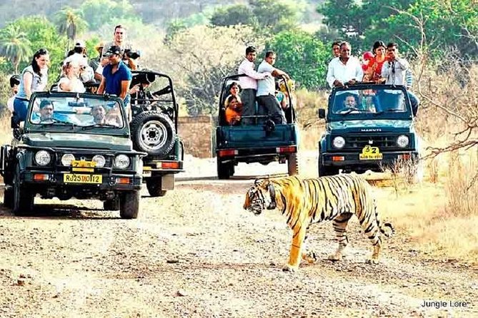 Ranthambore Wildlife Safari with Tickets & Transfer Options - Key points to know before booking