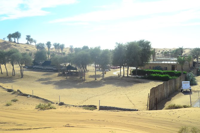 Ras Al Khaimah: Afternoon Desert Safari and BBQ Dinner - From Ras Al Khaimah hotels to the open dunes