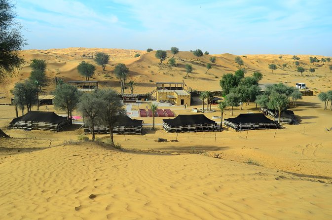 Ras Al Khaimah: Afternoon Desert Safari and BBQ Dinner - Dune driving brings the real rush