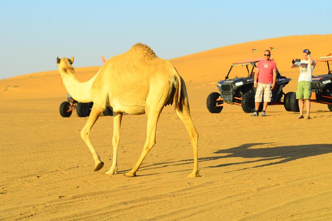 Ras Al Khaimah: Afternoon Desert Safari and BBQ Dinner - Tannora, belly dancing, and the evening program