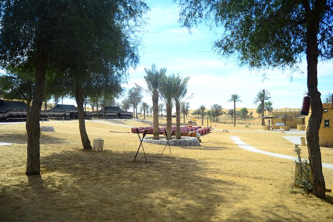 Ras Al Khaimah: Afternoon Desert Safari and BBQ Dinner - The camel farm stop adds local context
