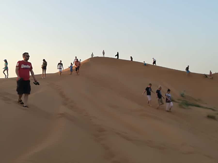 Ras Al Khaimah: Half-Day Desert Safari with Dinner - The camp experience and its extra charges